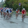 Junioři