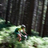 Lucie Mullerová