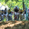 Start Expert