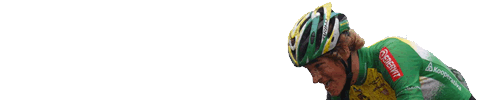 Další web používající WordPress